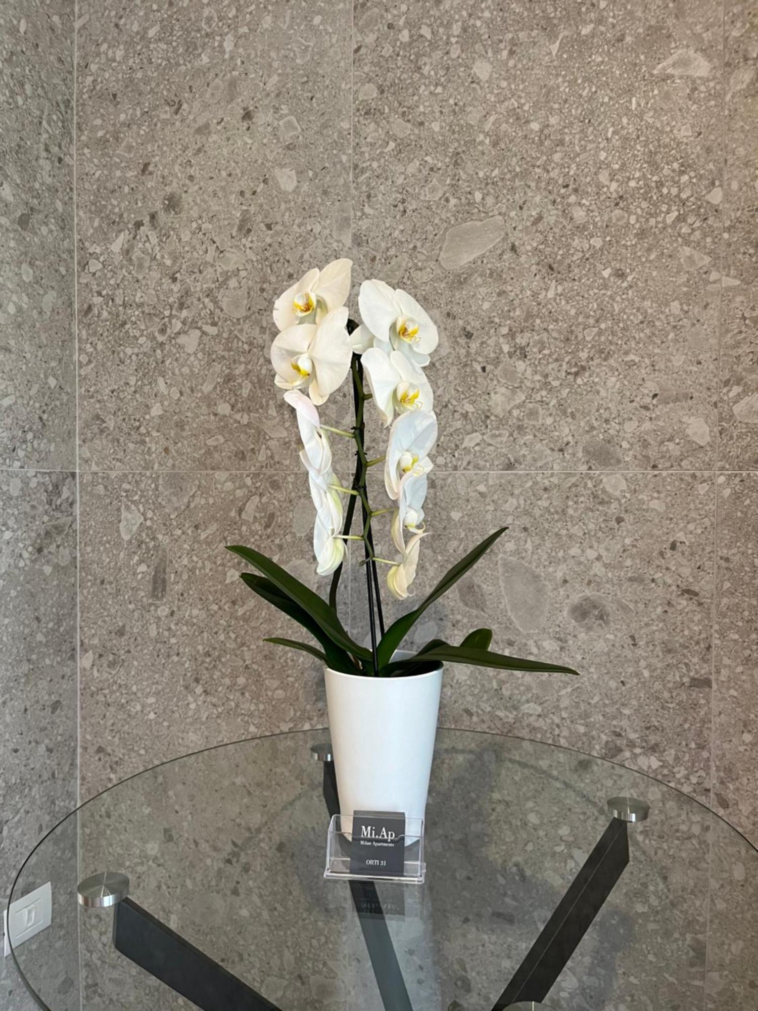 Miap Orti 31 Apartment Милано Екстериор снимка